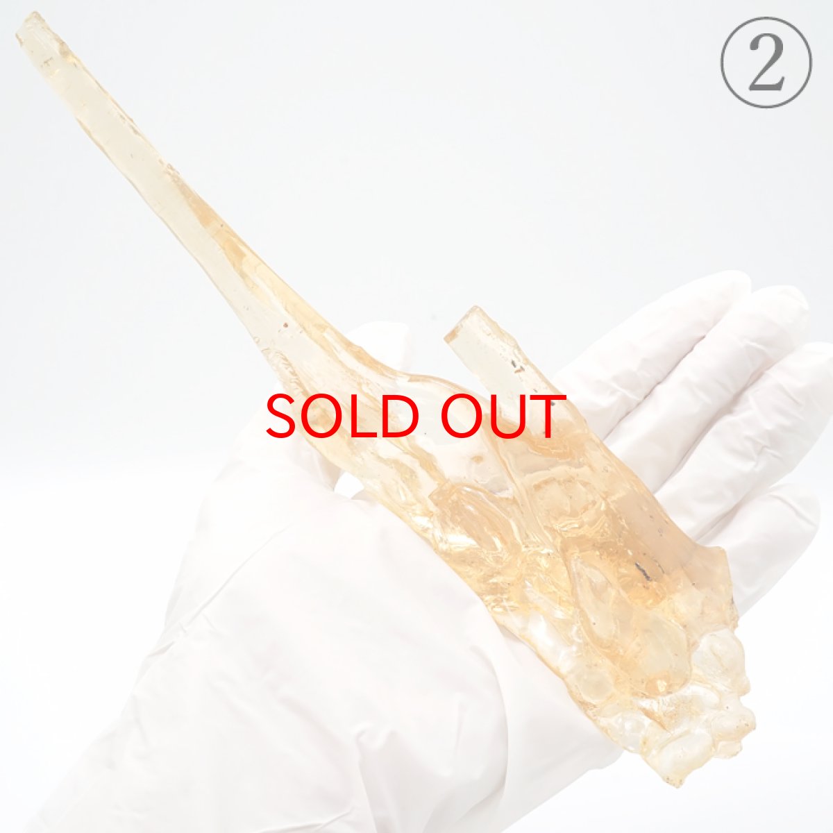 画像6: 虫入り コパル 琥珀 原石 マダガスカル産 アンバー 【一点もの】 天然 昆虫 Copal 天然石 パワーストーン カラーストーン (6)