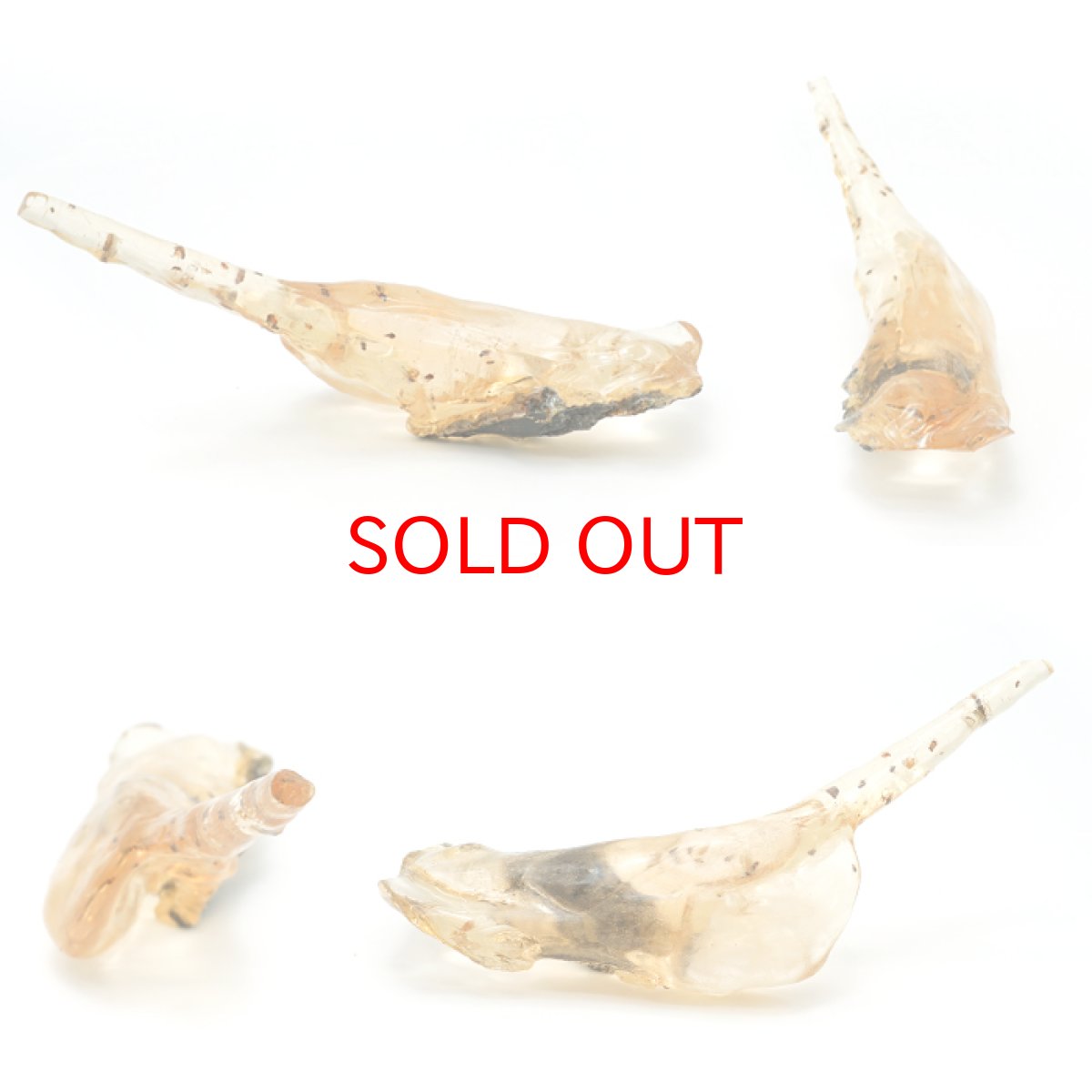 画像2: 虫入り コパル 琥珀 原石 マダガスカル産 アンバー 【一点もの】 天然 昆虫 Copal 天然石 パワーストーン カラーストーン (2)