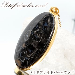古木 パームウッド 珪化木 化石木 ペトリファイドウッド 化石 石化