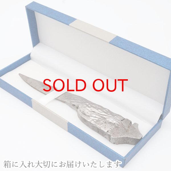 宇宙 ギャラクシー 星 鉄隕石 しんきょういんせき カマサイト