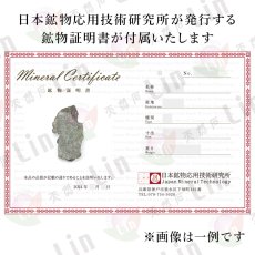 画像4: 【セール対象！25％OFF】 NWA7397 火星隕石 西サハラ産 【一点物】 Mars rock 火星の石 隕石 シャーゴッタイト エイコンドライト カンラン石 天然石 パワーストーン (4)