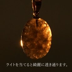 画像10: チンターマニストーン オーバル ペンダントトップ アメリカ産 【 一点物 】 シルバー ゴールド 隕石 才能 能力 エネルギー 超希少原石 天然石 パワーストーン カラーストーン (10)