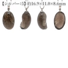 画像7: チンターマニストーン オーバル ペンダントトップ アメリカ産 【 一点物 】 シルバー ゴールド 隕石 才能 能力 エネルギー 超希少原石 天然石 パワーストーン カラーストーン (7)