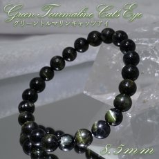 画像1: グリーントルマリンキャッツアイ ブレスレット 8.5mm【一点物】ブラジル産 Green Tourmaline Cat's Eye 天然石 パワーストーン カラーストーン (1)