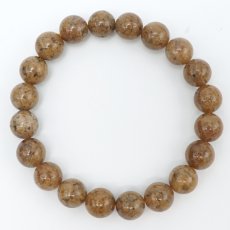 画像3: フラワーガーデンルチル 9.5mm ブレスレット【一点物】ブラジル産 Flower garden Rutile ルチルクォーツ ルチル 希少 浄化 ヒーリング 天然石 パワーストーン カラーストーン (3)
