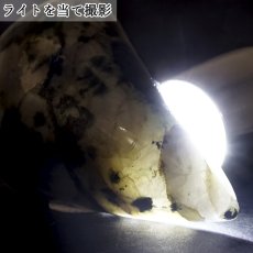 画像3: フェナカイト エメラルド共生鉱 ルース 63.1g ブラジル産 ドロップ 【 一点もの 】 カボション 裸石 Phenakite 希少石 レア ベリル フェナス石 鉱物 浄化 お守り 天然石 パワーストーン (3)