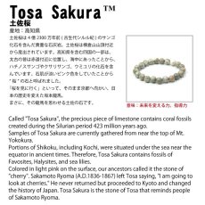 画像5: 土佐桜 ブレスレット 6mm 高知県産 Tosa Sakura ３月誕生石 石灰岩 日本銘石 天然石 パワーストーン カラーストーン (5)