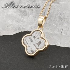 画像1: アルタイ隕石 ペンダントトップ 新疆ウイグル産 【 一点物 】 Altai meteorite 花 隕石 チャネリング 浄化 天然石 パワーストーン カラーストーン (1)