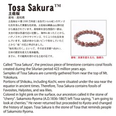 画像5: 土佐桜 (赤) ブレスレット 6mm 高知県産 Tosa Sakura 石灰岩 日本銘石 天然石 パワーストーン カラーストーン (5)