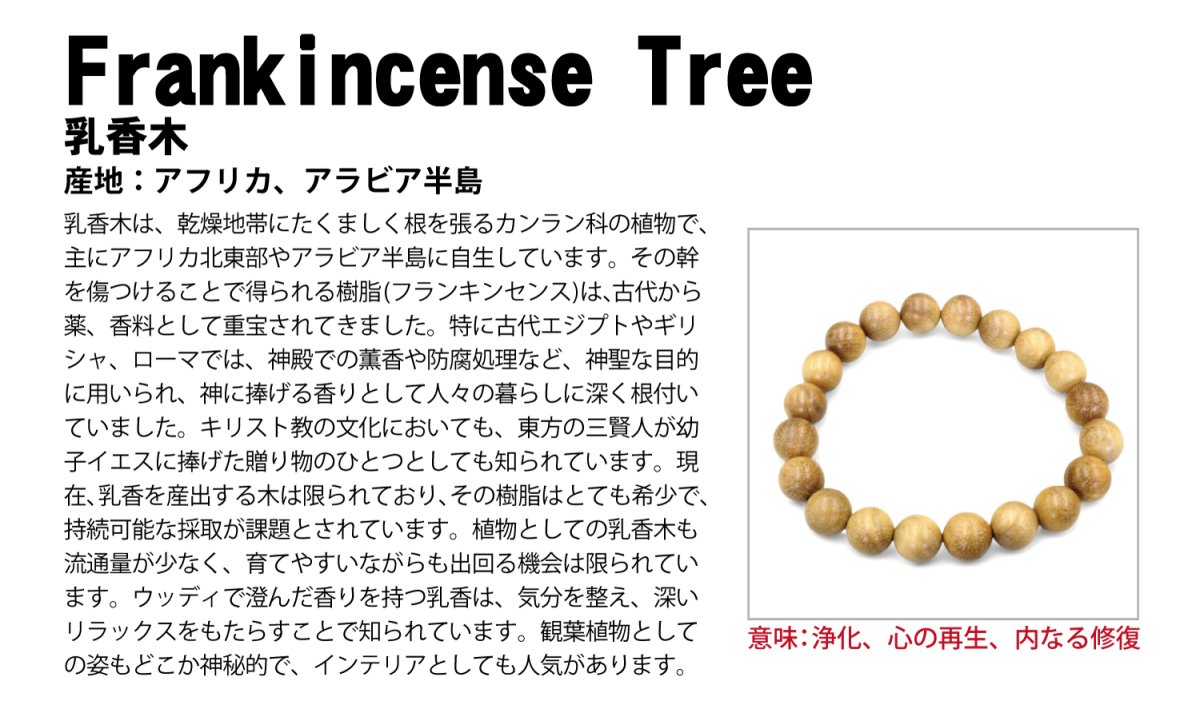 画像4: 【BLACK FRIDAY対象】 乳香木 12mm ブレスレット アフリカ産 Frankincense tree フランキンセンス 香木 薫香 樹脂 パワーズウッド 天然木 (4)
