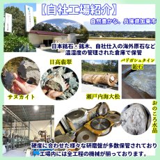 画像5: 屋久杉（油木）勾玉 40mm【一点物】YAKUSUGI (Oil-base wood) 鹿児島県 屋久島 国産 日本製 自社オリジナル エネルギー パワーズウッド 天然木 (5)