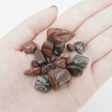 画像3: さざれ 100g 津軽珪化木 日本銘石 青森県産 TSUGARU Petrified Wood 天然石 パワーストーン カラーストーン (3)
