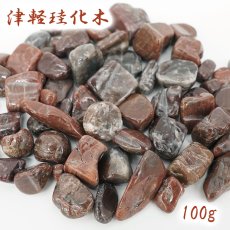 画像1: さざれ 100g 津軽珪化木 日本銘石 青森県産 TSUGARU Petrified Wood 天然石 パワーストーン カラーストーン (1)