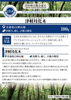 画像5: さざれ 100g 津軽珪化木 日本銘石 青森県産 TSUGARU Petrified Wood 天然石 パワーストーン カラーストーン (5)