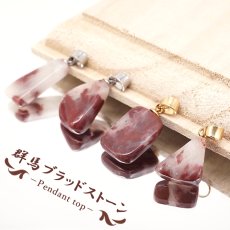 画像1: 群馬ブラッドストーン ペンダントトップ 群馬県産 Gunma Blood Stone 日本製 自社製 桐生市 ステンレス 日本銘石 天然石 パワーストーン カラーストーン (1)