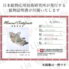 画像7: マニハール水晶 クラスター 300.8g インド・マニハール産 【一点もの】 Manihar Quartz 原石 ヒマラヤ 結晶 お守り 浄化 天然石 パワーストーン カラーストーン (7)
