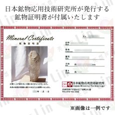 画像11: スモーキーシトリンエレスチャル 原石 1.7kg ブラジル産 【一点もの】Smoky Citrine Elestial 台付き 骸骨水晶 水晶 クォーツ お守り 浄化 天然石 パワーストーン (11)