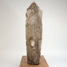 画像5: スモーキーシトリンエレスチャル 原石 1.7kg ブラジル産 【一点もの】Smoky Citrine Elestial 台付き 骸骨水晶 水晶 クォーツ お守り 浄化 天然石 パワーストーン (5)
