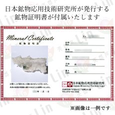 画像6: マニハール水晶 クラスター 159.0g インド・マニハール産 【一点もの】 Manihar Quartz 原石 ヒマラヤ 結晶 お守り 浄化 天然石 パワーストーン カラーストーン (6)