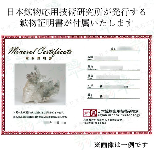 マニハール産 共生鉱物 クローライト クリスタル 透明 最強 浄化 神秘
