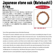 画像4: 馬刀葉椎(まてばしい) ブレスレット 8mm 千葉県産 【日本銘木】47都道府県 Japanese stone oak(Matebashii) 自社製 日本製 天然木 パワーズウッド (4)