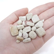 画像3: さざれ 100g 白天草石 日本銘石 熊本県産 White AMAKUSA Stone 天然石 パワーストーン カラーストーン (3)