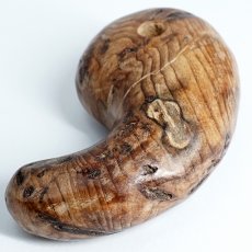 画像5: 屋久杉 泡瘤 (あわこぶ) 勾玉 50mm 【一点もの】 YAKUSUGI AWAKOBU 鹿児島県 屋久島 国産 日本製 瘤 杉 エネルギー パワーズウッド 天然木 (5)