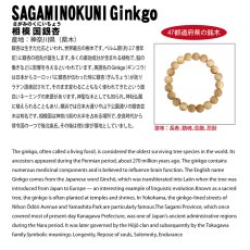 画像4: 相模国銀杏(さがみのくにいちょう) ブレスレット 8mm 神奈川県 【日本銘木】47都道府県 SAGAMINOKUNI Ginkgo 自社製 日本製 天然木 パワーズウッド (4)