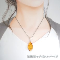 画像5: アンバー ペンダントトップ SV925 リトアニア産 【一点もの】 Amber 天然アンバー 琥珀 内包物 植物 天然石 パワーストーン カラーストーン (5)