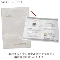 画像5: ギベオン 丸玉 35.6mm ナミビア産 スフィア 【 一点もの 】Gibeon 鑑別書付き 希少 隕石 鉄隕石 宇宙 聖石 神秘的 お守り 風水 オブジェ 天然石 パワーストーン カラーストーン (5)