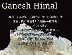 画像6: ガネーシュヒマール水晶 AAAランク 14mm ブレスレット ヒマラヤ産 Ganesh Himal ガネーシャ 天然 透明 水晶 内包物 クォーツ 希少 お守り 浄化 天然石 パワーストーン (6)