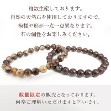 画像4: 桐生更紗石 8mm ブレスレット 群馬県産 KIRYUSARASA Gunma Blood Stone 【数量限定】 桐生市 ブラッドストーン 日本銘石 天然石 パワーストーン カラーストーン (4)