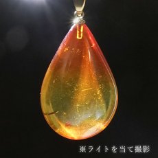画像3: アンバー ペンダントトップ ドロップ型 リトアニア産 【一点もの】 Amber アンバー 琥珀 ステンレス 日本製 天然石 パワーストーン カラーストーン (3)