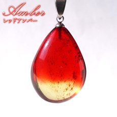 画像1: レッドアンバー ペンダントトップ ドロップ型 リトアニア産 【一点もの】 Amber アンバー ステンレス 琥珀 内包物 植物 天然石 パワーストーン カラーストーン (1)
