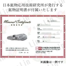 画像10: ガーネット on グラファイト 原石 アメリカ レッドエンバーズ鉱山産 【一点もの】 Garnet on Graphite ガーネットオングラファイト 鉱物 共生 標本 結晶 柘榴石 石墨 浄化 お守り 天然石 パワーストーン カラーストーン (10)