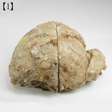 画像4: 水晶 ジオード ブラジル産【一点物】Quartz ペアジオード 原石 4月誕生石 鉱物 クォーツ 石英 風水 クリスタル 晶洞石 ヒーリング 浄化 天然石 パワーストーン (4)