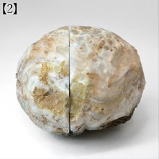 画像9: アメジスト ジオード ブラジル産【一点物】Amethyst ペアジオード 原石 2月誕生石 鉱物 紫水晶 風水 ヒーリング 浄化 天然石 パワーストーン (9)