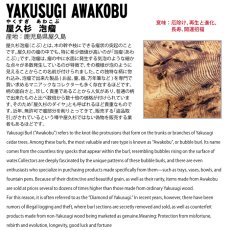 画像7: 屋久杉 泡瘤 (あわこぶ) 15mm ブレスレット 【一点もの】YAKUSUGI AWAKOBU 鹿児島県 屋久島 国産 日本製 瘤 杉 エネルギー パワーズウッド 天然木 (7)