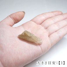 画像10: 山梨黒平水晶 原石 山梨県産【 一点もの 】国産天然石 国産水晶 Quartz クォーツ ポイント 結晶 鉱物 お守り 浄化 天然石 パワーストーン カラーストーン (10)