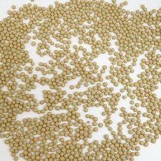 画像2: 北投石 イオンボール 50g 天然記念物 放射性 ラジウム 鉛重晶石 健康ストーン ことほぎ 天然石 パワーストーン (2)