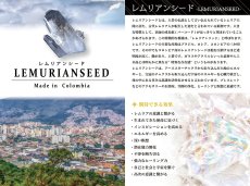 画像6: レムリアンシード 勾玉 Sランク 20mm コロンビア産 【 一点物 】 Lemurian Seed 日本製 4月誕生石 水晶 天然水晶 クォーツ 厄払い 厄除け 魔除け 癒し 瞑想 透明度 神秘 結晶 透明 レムリア 神聖 希少 鉱物 まがたま 天然石 パワーストーン カラーストーン (6)