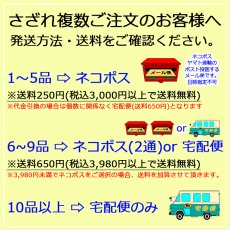 画像6: 【高品質 大粒】マニカラン水晶 さざれ 100g 天然石 パワーストーン カラーストーン (6)