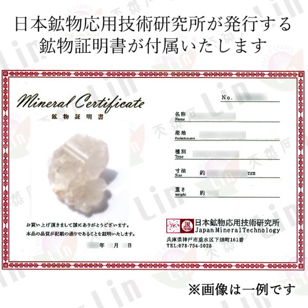 カイラスクォーツ　天然両剣水晶 ダブルポイント 原石　ツイン　シャーマンクォーツ 天然水晶 希少 レア 成長痕 標本 コレクション 魔除け 厄除け