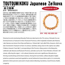 画像4: 遠江国欅（とうとうみこくけやき) ブレスレット 8mm 静岡県【日本銘木】47都道府県 TOUTOUMIKOKU Japanese Zelkova 自社製 日本製 島田市 神聖 幸運 健康 長寿 天然木 パワーズウッド (4)