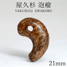 画像1: 屋久杉 泡瘤 (あわこぶ) 勾玉 21mm 【一点もの】 YAKUSUGI AWAKOBU 鹿児島県 屋久島 国産 日本製 瘤 杉 エネルギー パワーズウッド 天然木 (1)