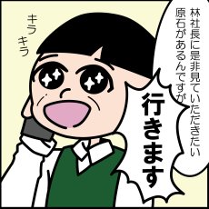 画像8: かっこみのカケラ MIX 100g 【中粒】 オールドストック 山梨県 甲府市 原石 さざれ石 詰め合わせ ランダム ミックス 浄化 鉱物 宝さがし 一期一会 天然石 パワーストーン カラーストーン (8)