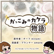 画像7: かっこみのカケラ MIX 100g 【中粒】 オールドストック 山梨県 甲府市 原石 さざれ石 詰め合わせ ランダム ミックス 浄化 鉱物 宝さがし 一期一会 天然石 パワーストーン カラーストーン (7)