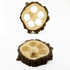 画像4: 金色南天 8mm ブレスレット 山陰地方・庄屋産 【一点もの】 桐箱 原木付き 小口切り 手抜き 木目 希少 日本産 Golden Sacred Bamboo 天然木 パワーズウッド (4)