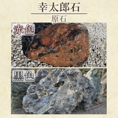 画像5: 幸太郎石 赤 ブレスレット 12mm 北海道産 KOTARO Stone 希少 アイヌ人 変形礫岩 日本銘石 お守り 浄化 鉱物 天然石 パワーストーン (5)