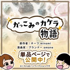 画像9: かっこみのカケラ MIX アクセサリーキット 山梨県 甲府市 オールドストック 原石 鉱物 さざれ石 ランダム 宝さがし 希少 レア 糸魚川翡翠 黒平水晶 乙女鉱山 ソーダライト ローズクォーツ ペンダント ストラップ 天然石 鉱物標本 蔵出し パワーストーン カラーストーン (9)